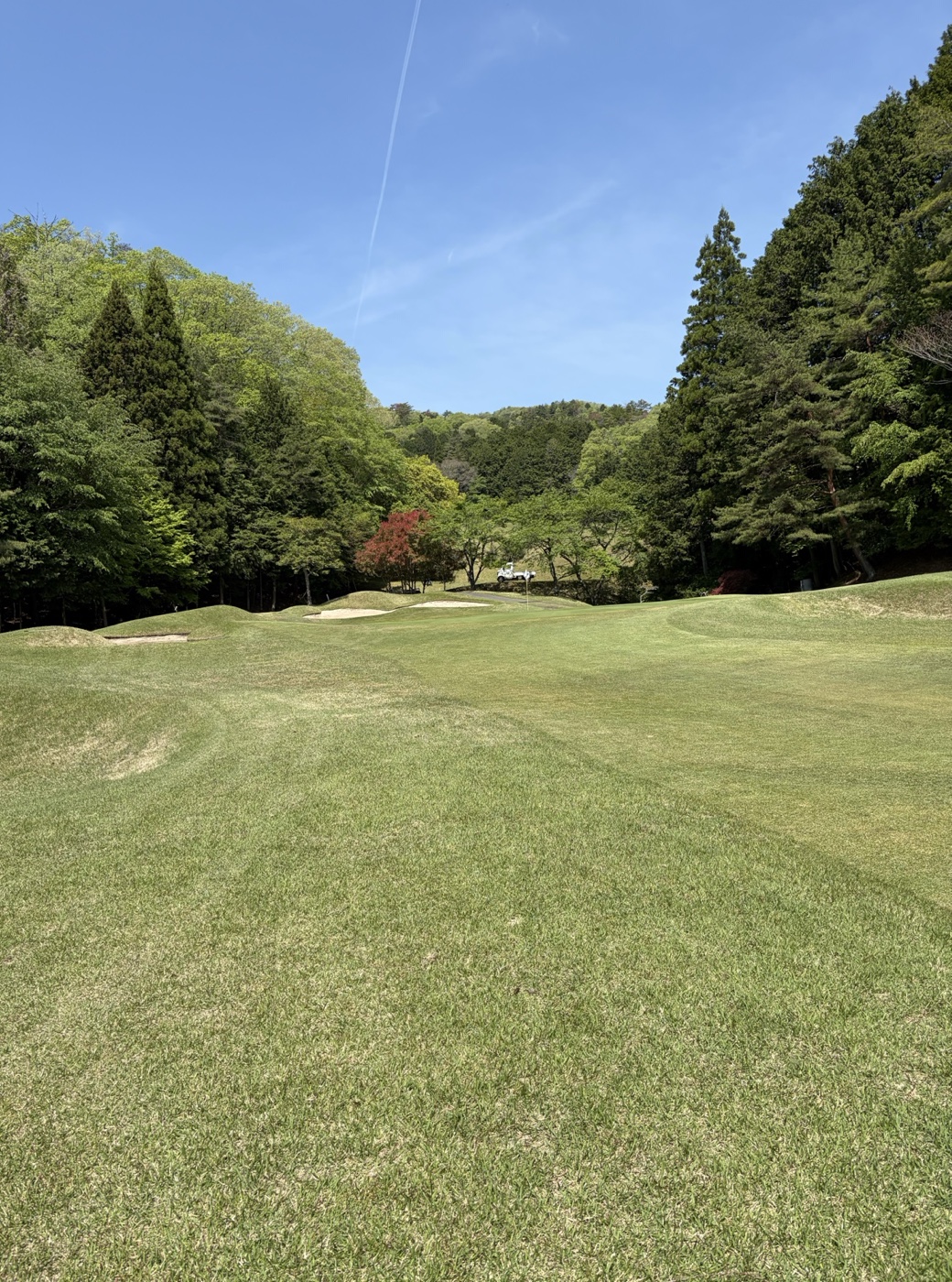 コース風景・赤花アクセント
